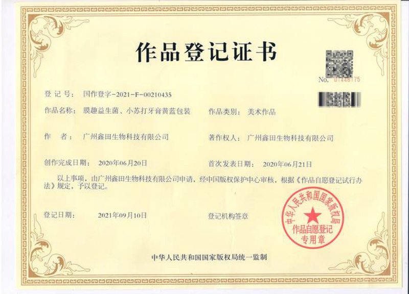 艺术版权登记：为何艺术家必须了解这项重要操作